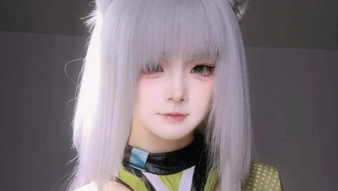 小猫的梦