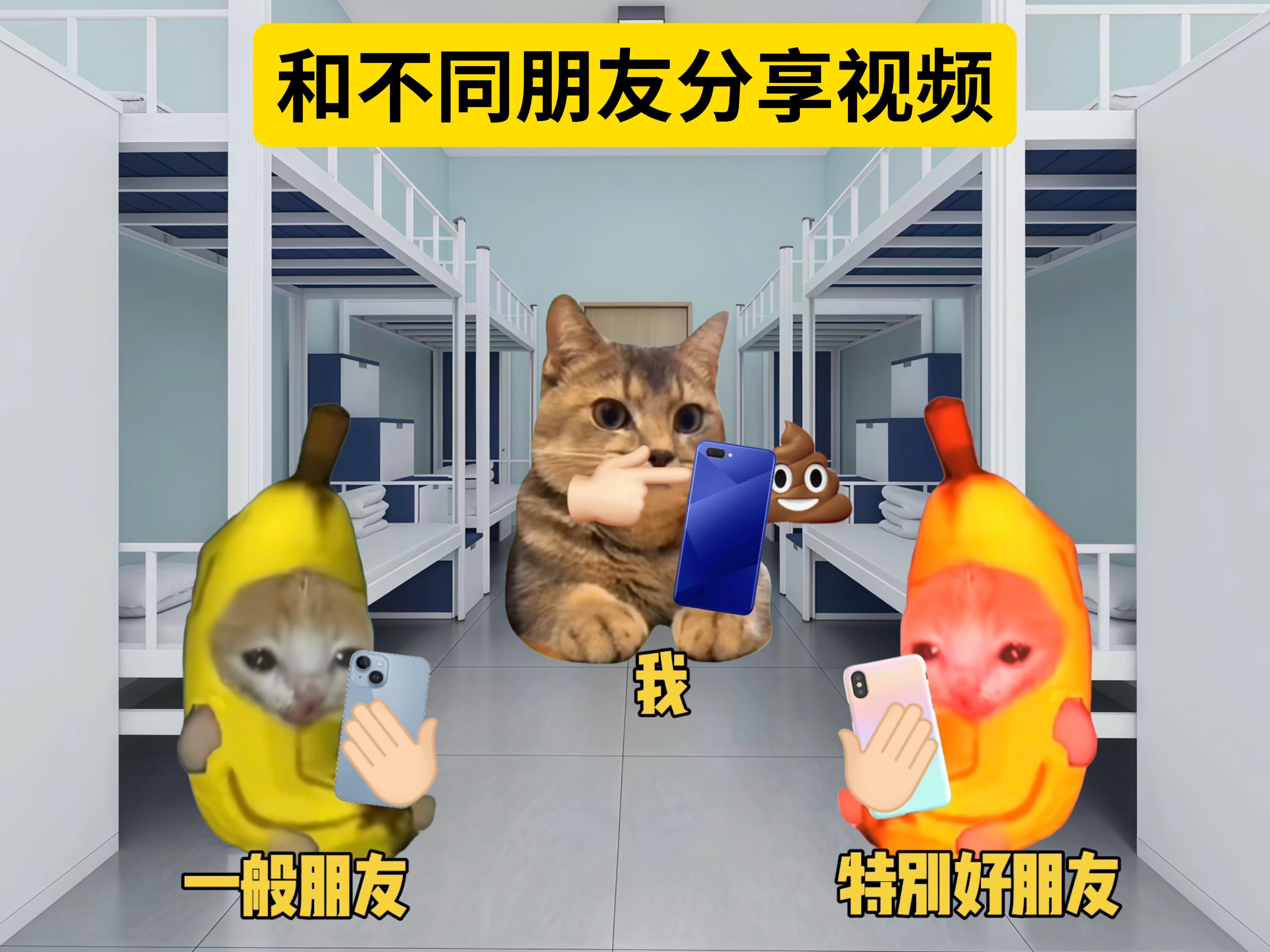 和不同朋友分享视频