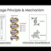 【FAST '25】Liquid-State Drive: A Case for DNA Block Device