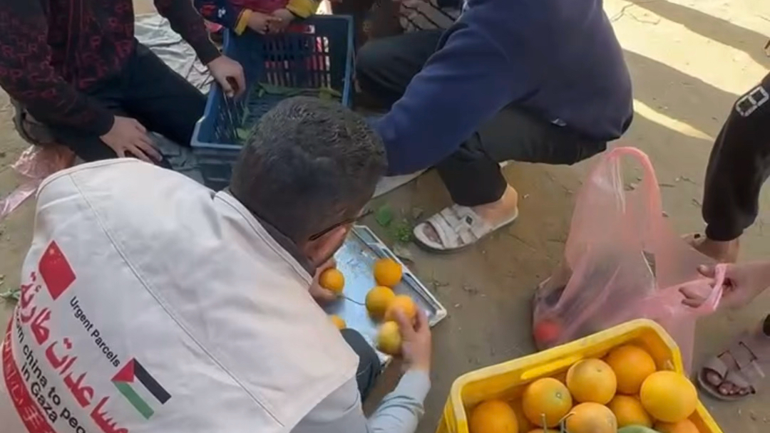 加沙一线志愿者二哥哥又一轮采买蔬果包，分发拉法难民营地#加沙[话题]# #巴勒斯坦[话题]# #原创