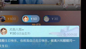 7号短剧授权，开启影视新篇章，7号短剧授权，开启影视新篇章