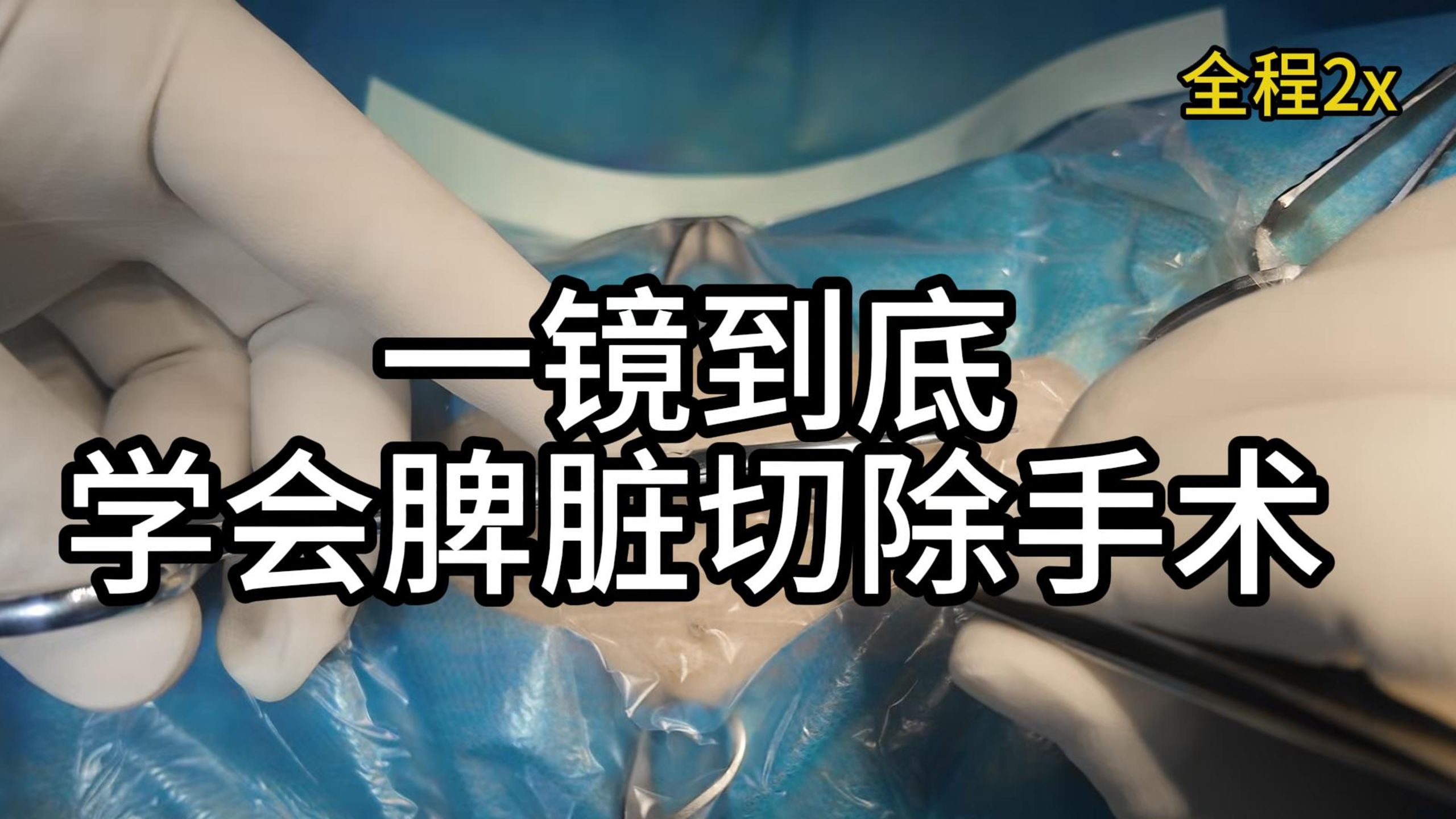 我在b站学兽医—脾脏切除术
