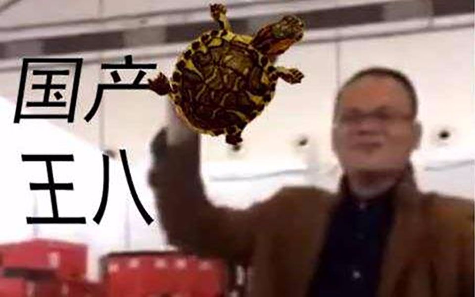 【南宁卖鞋哥】王八:这锅我不背!
