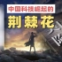 华为Mate 40 Pro 中国科技崛起之路的荆棘花【时代玩家】