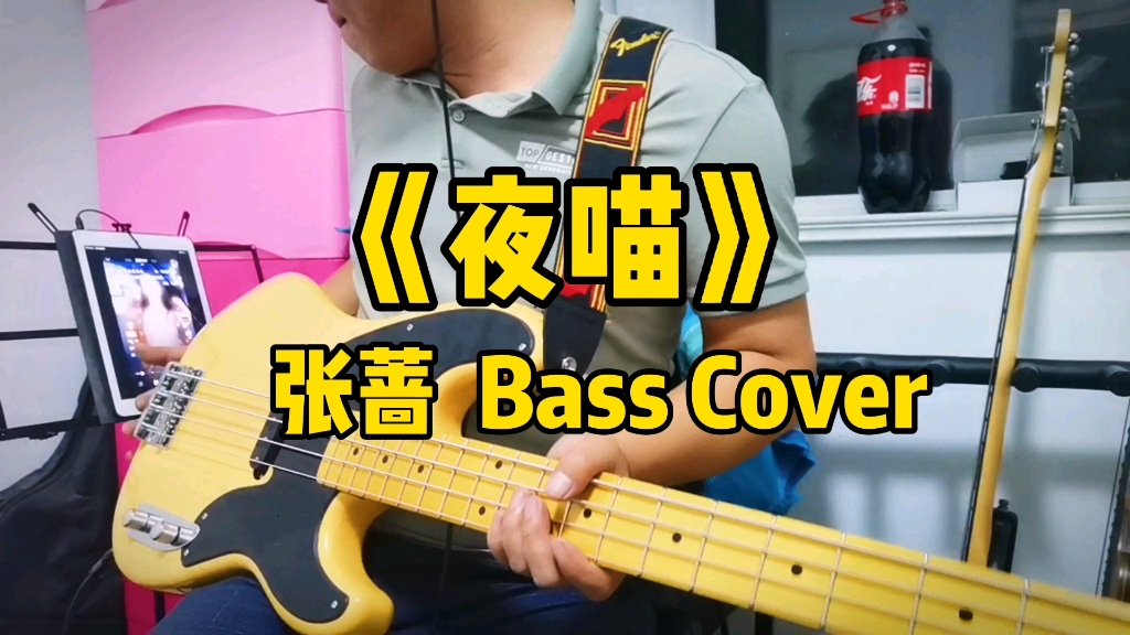 【叉叉日记】迪斯科女王张蔷经典《夜猫》bass cover_哔哩哔哩_bili