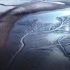 大海的绘画：山东东营黄河入海口现绝美“潮汐树”