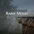【细细雨声】安静宁神 读书 学习 工作 助眠——Rainy Mood