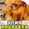 狗狗竟有如此神奇的本领#狗狗自带中医系统 #搞笑 #万万没想到 #狗子 #离谱
