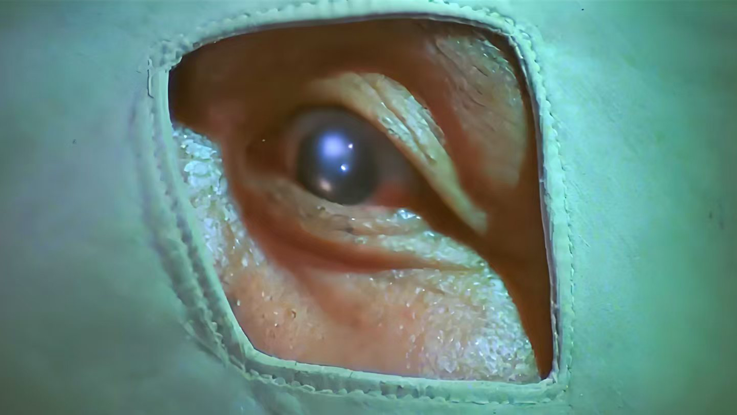 现在才发现，这剧本写的真让人绝望！很多人都说看不懂这片子！《人到中年》