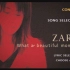 【ZARD】What a beautiful moment2004（剪辑版）坂井泉水歌唱生涯唯一现场演唱会DVD作品。