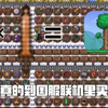 当你真的在泰拉瑞亚国服联机里买了装备