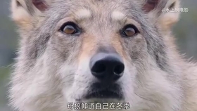 10e87343ace7eaada5d1450cff1c759ff72d6a4c.jpg@280w_158h_1c_100q.jpg