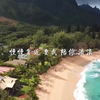 陪你去流浪-薛之谦【我可以陪你去远方 别浪费我恨过你一场