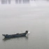 【桥上视频】坐渔船正在工作.mov_标清-08-767