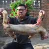 爱吃狗肉的收藏了，阿超教你狗肉最好吃的做法，1人2斤不够吃