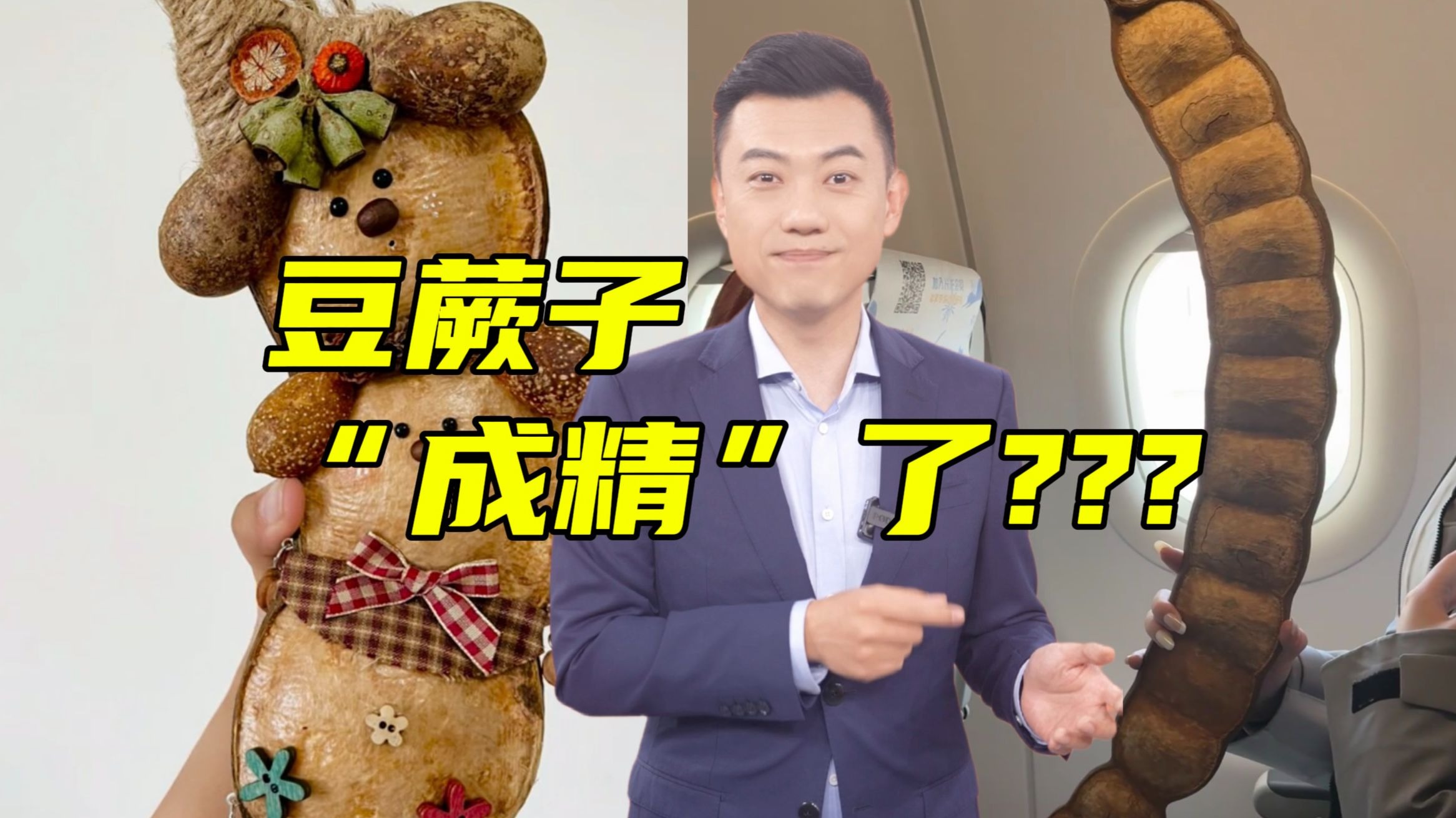 好巨巨巨大的豆荚！是豆橛子“成精”？还是豆角“变异”了？【主播说三农】