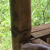 街头漫步，感受生活的烟火气