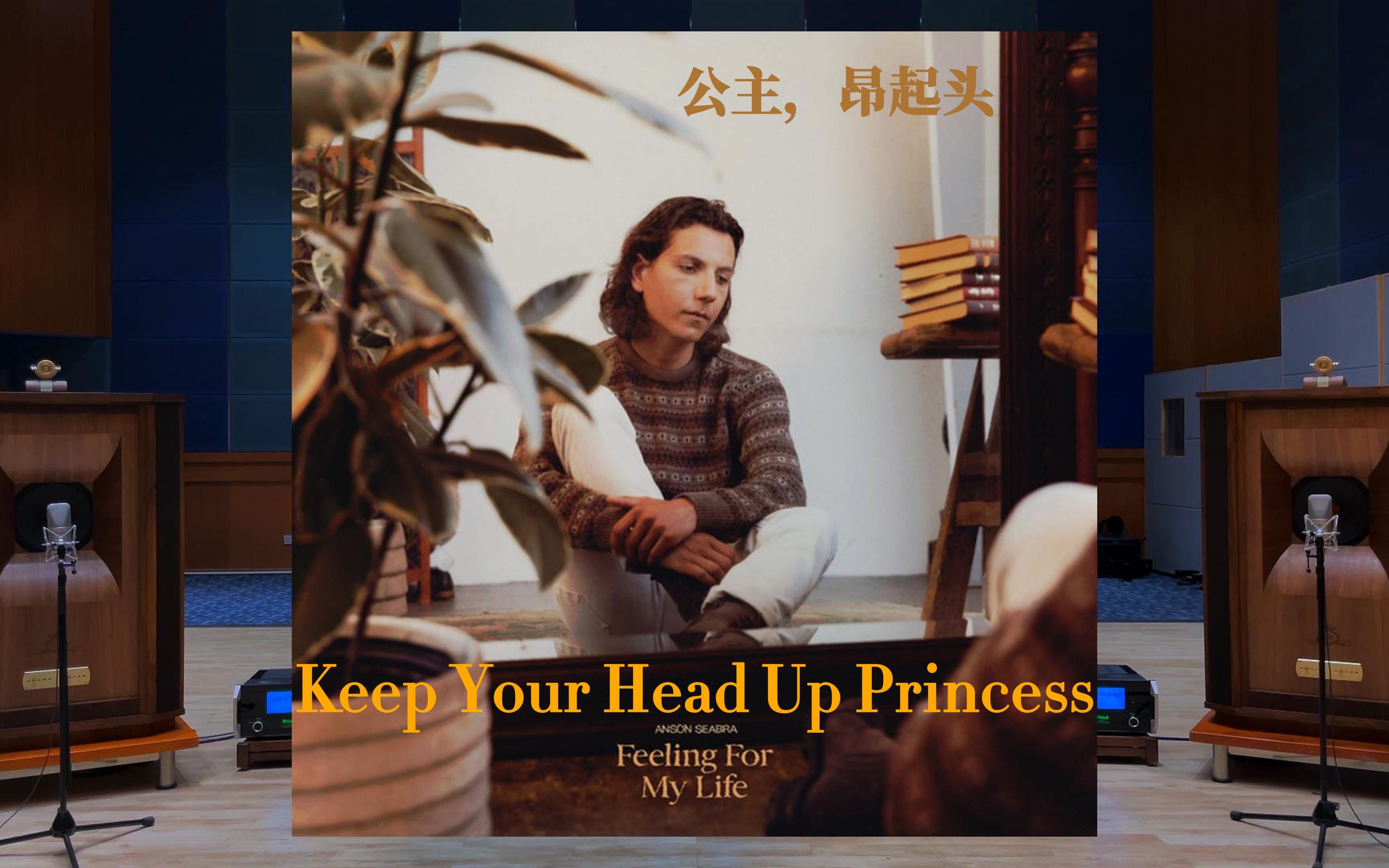 公主，昂起头，皇冠会掉 Keep Your Head Up Princess - Anson Seabra【Hi-Res】