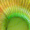 #led贴膜屏 这是2023年全新的技术，Led超薄贴膜屏，不用结构，不用贴胶，不用编程，粘在玻璃上 #LED透明贴膜屏 #led柔性贴膜屏 #LED薄膜贴膜屏