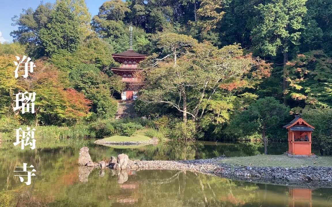 京都  浄瑠璃寺