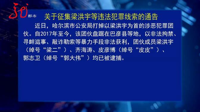 哈尔滨市公安局发布关于征集梁洪宇等违法犯罪线索的通告