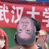 【武汉大学】百团大战:冬の花