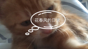 11c4445acc2938a58af5643cc58c4f50f3abb43f.jpg@280w_158h_1c_100q.jpg