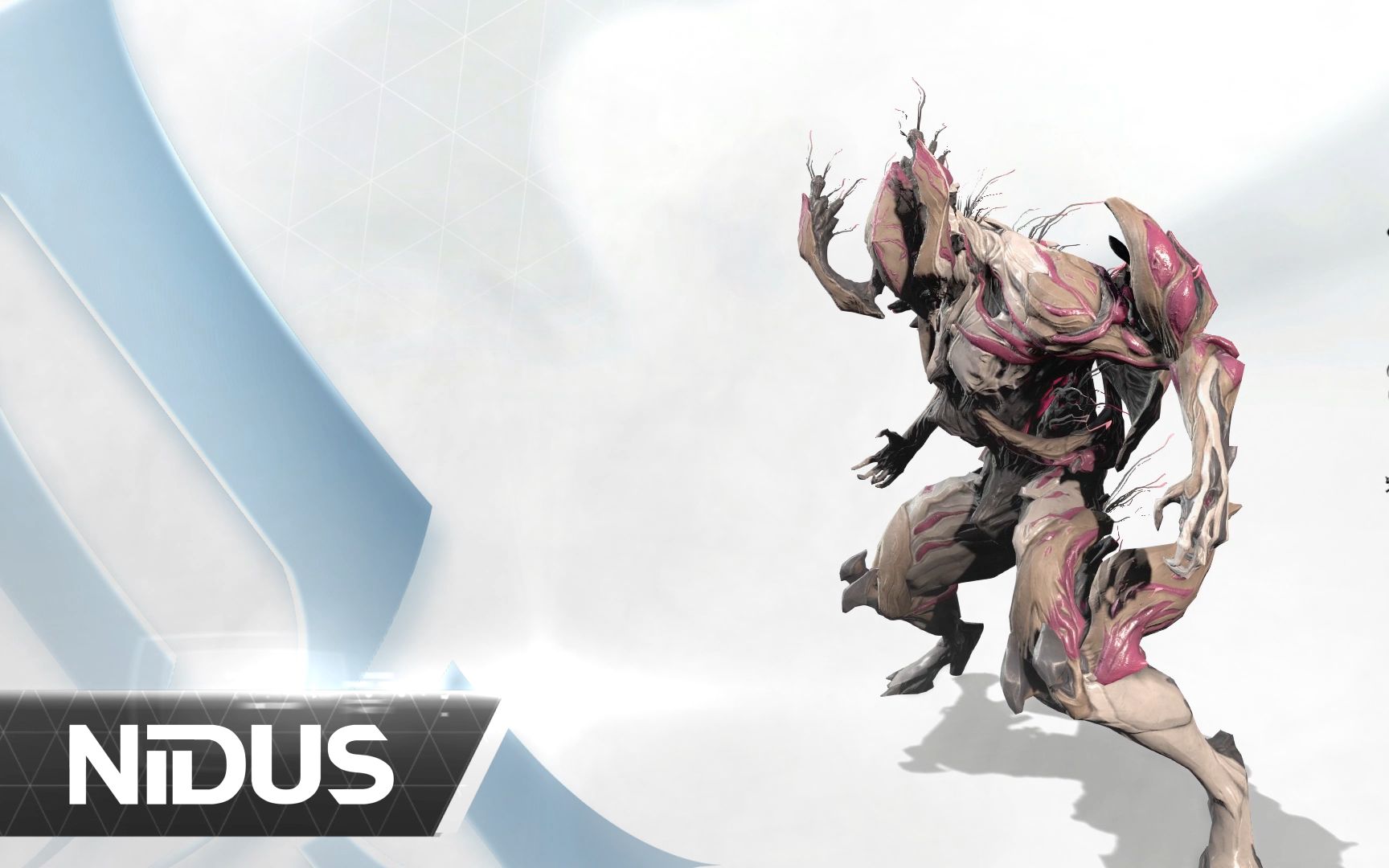 nidus profile trailer