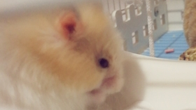 11e3edaedbcf0c0f0f8ef719ded6eb5e25b19606.jpg@280w_158h_1c_100q.jpg