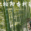 丽水松阳古村徒步