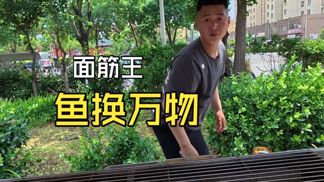 鱼换万物之面筋王