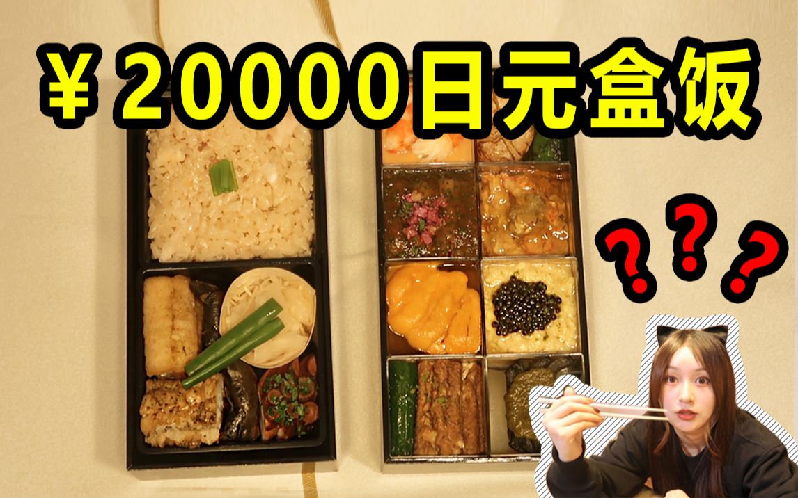 200日元Vs20000日元盒饭开箱！普通群众和日本大佬吃的有啥区别？
