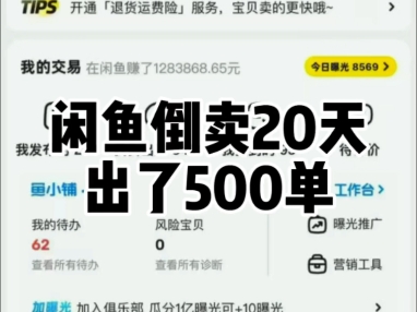 闲鱼倒卖夕夕产品20天出了500单