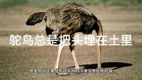 1228ab56092c0575845d3b74b54853500ba3a54e.jpg@280w_158h_1c_100q.jpg