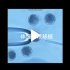 体细胞核移植视频