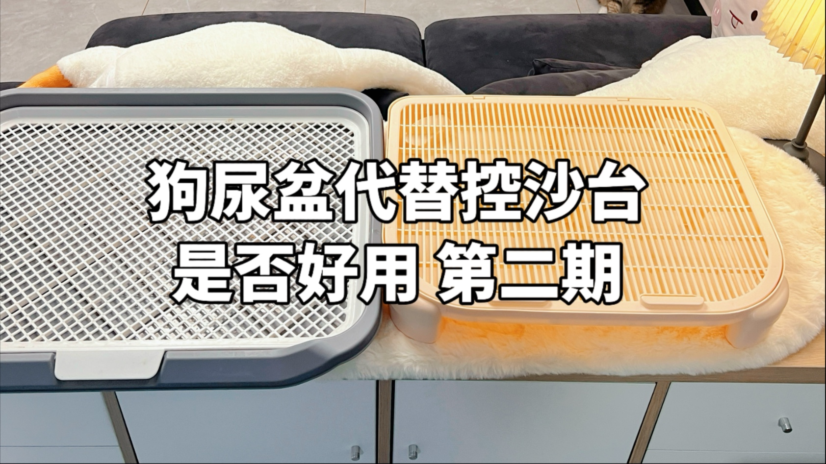 满地猫砂，控砂台怎么选？用狗尿盆半年的反馈