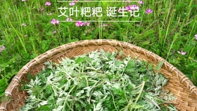 125600ecb2ae07bfdef1c6d8bcfea460974a5a73.jpg@280w_158h_1c_100q.jpg