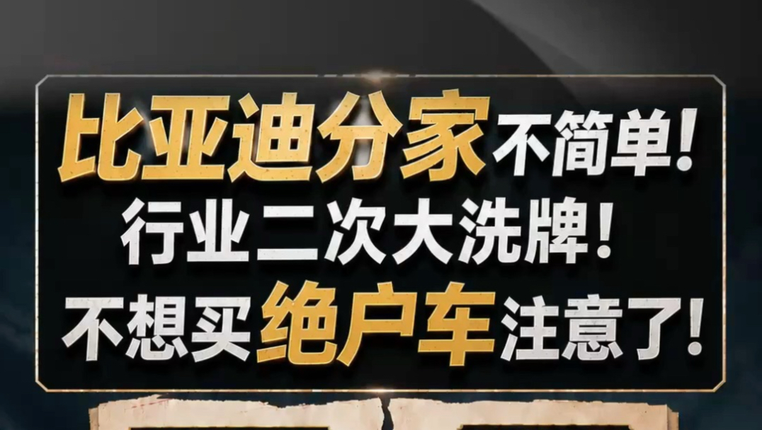 比亚迪分家不简单！行业二次大洗牌！不想买绝户车注意了！