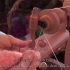 纺织机教学视频