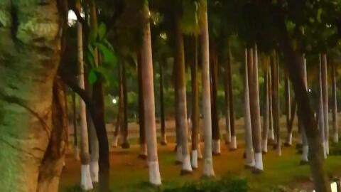 126b8d5362a662803d371b61f27a6f5f66bff65b.jpg@480w_270h_1c