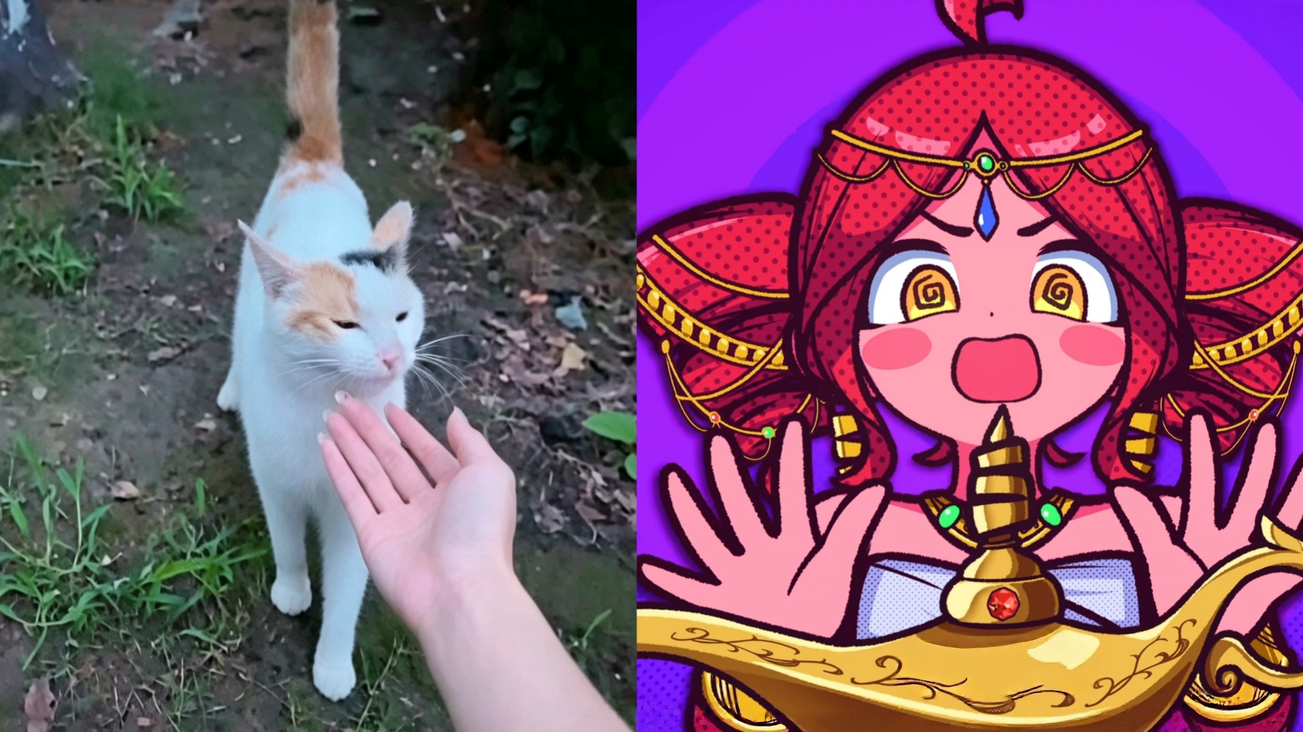 ⚡请 批 准 吧 小 花 猫 猫！⚡