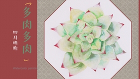 多肉种植教学视频 1285a44dedfdf4b011a4c35f80dd9894bdced934.jpg@280w_158h_1c_100q.jpg