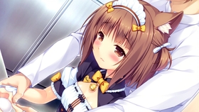 12875d56a6fcbd72e81aa13365ffb1d8331909ac.jpg@280w_158h_1c_100q.jpg