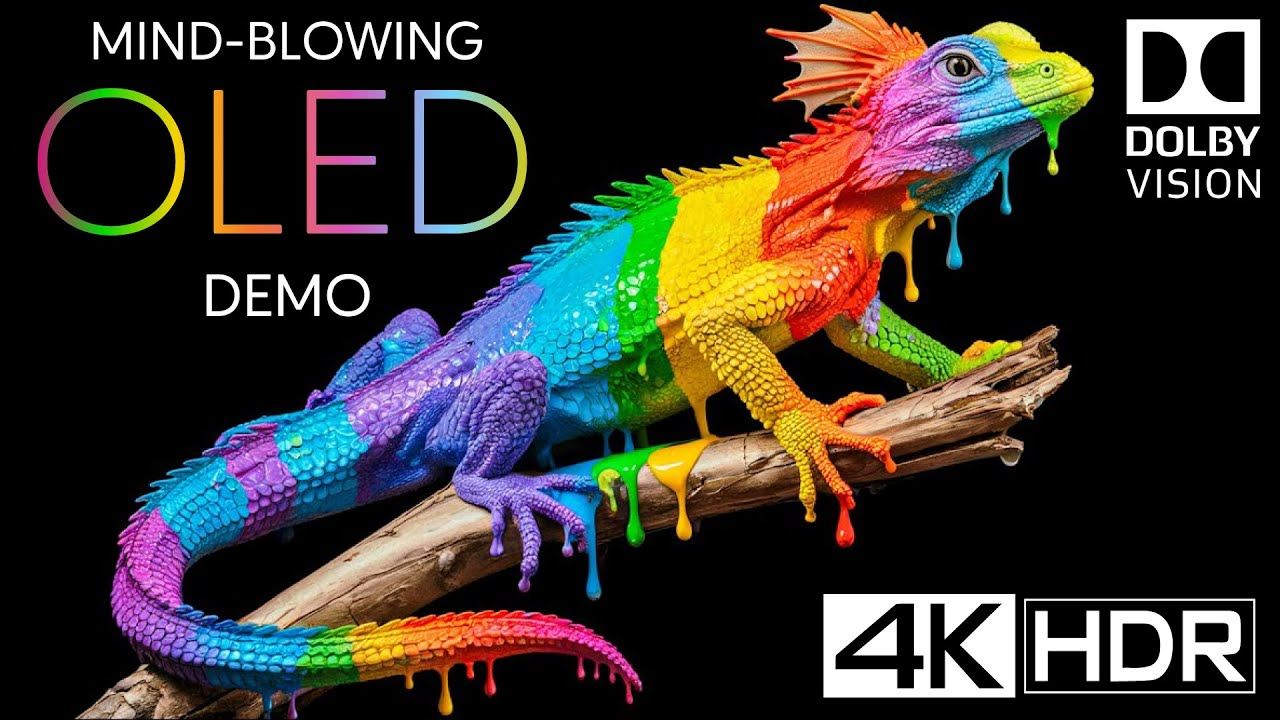 令人惊叹的 OLED 4K HDR 240fps Dolby Vision（4K 视频）