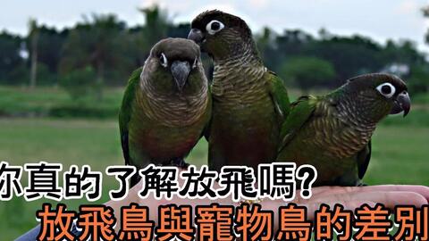 12b5fff2fafa70d2241c6f1f17bf210b4d7c32d9.jpg@480w_270h_1c