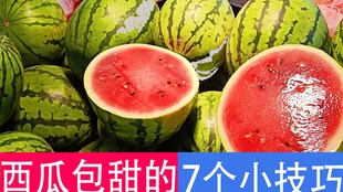 12b9351b760f68a13f51e76308b378def47a6f30.jpg@310w_174h_1c_100q.jpg
