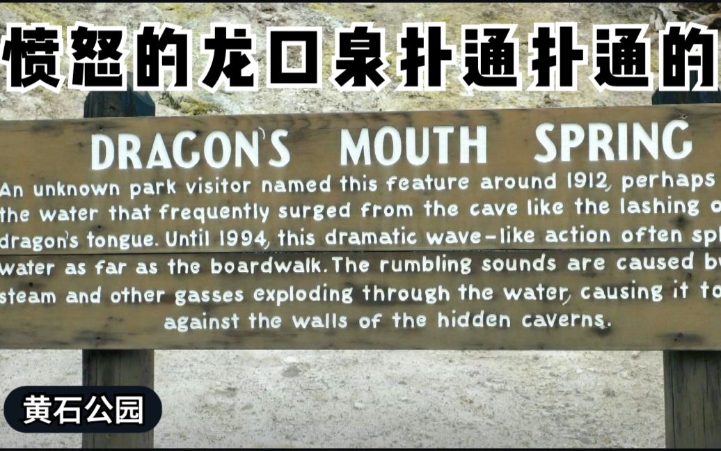黄石公园龙口泉不一样的泉不一样的洞dragon mouth spring in