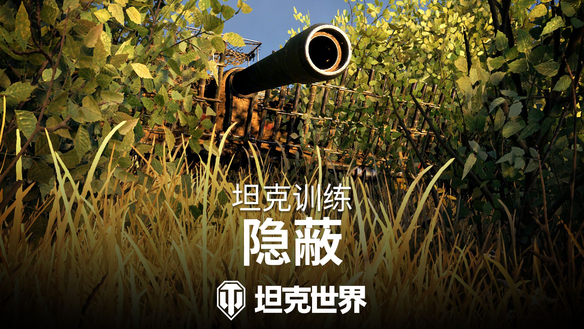 【坦克教练】学学隐蔽！“黑枪怪”是怎么做才不被点亮的？