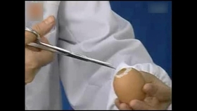 青蛙的生长过程 12dc2f3e56161d11f43cca576cd243f6727d25e1.jpg@280w_158h_1c_100q.jpg