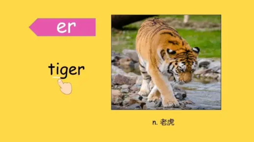 双字母组合er的基本发音:er-tiger